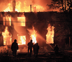 Segugio Evo Gallery 01