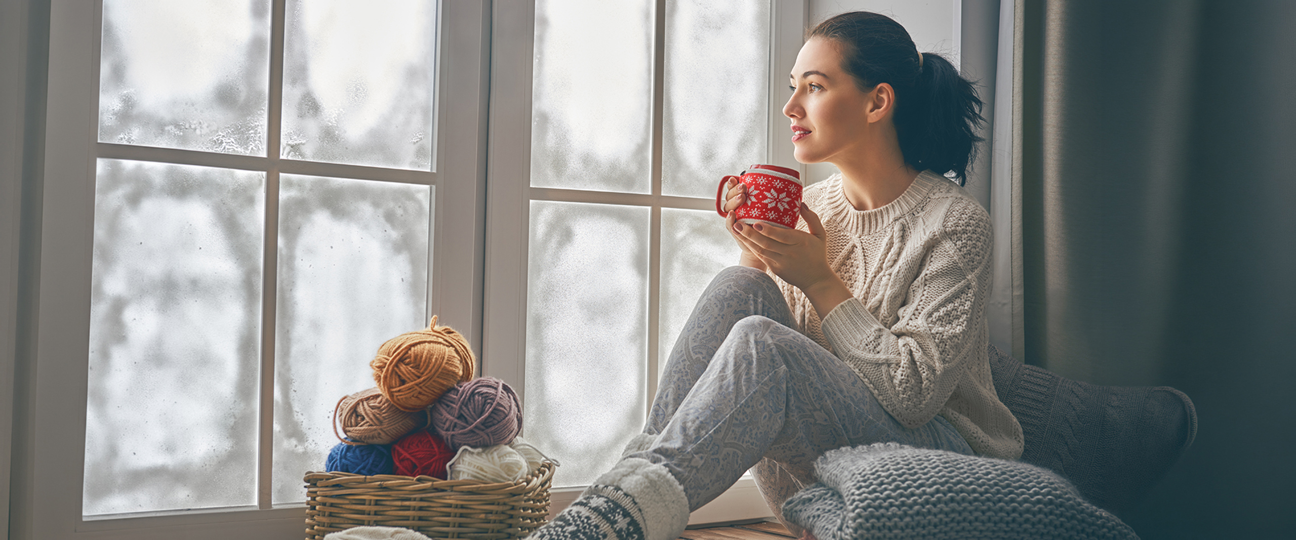 Termostato Banner (1)