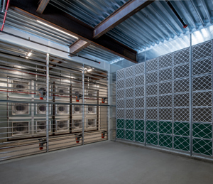 Cool Guardian Gallery 04