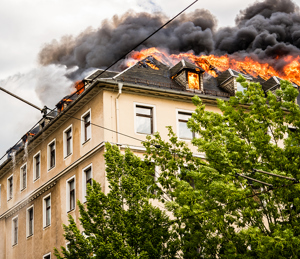 Cool Guardian Gallery 05 (2)