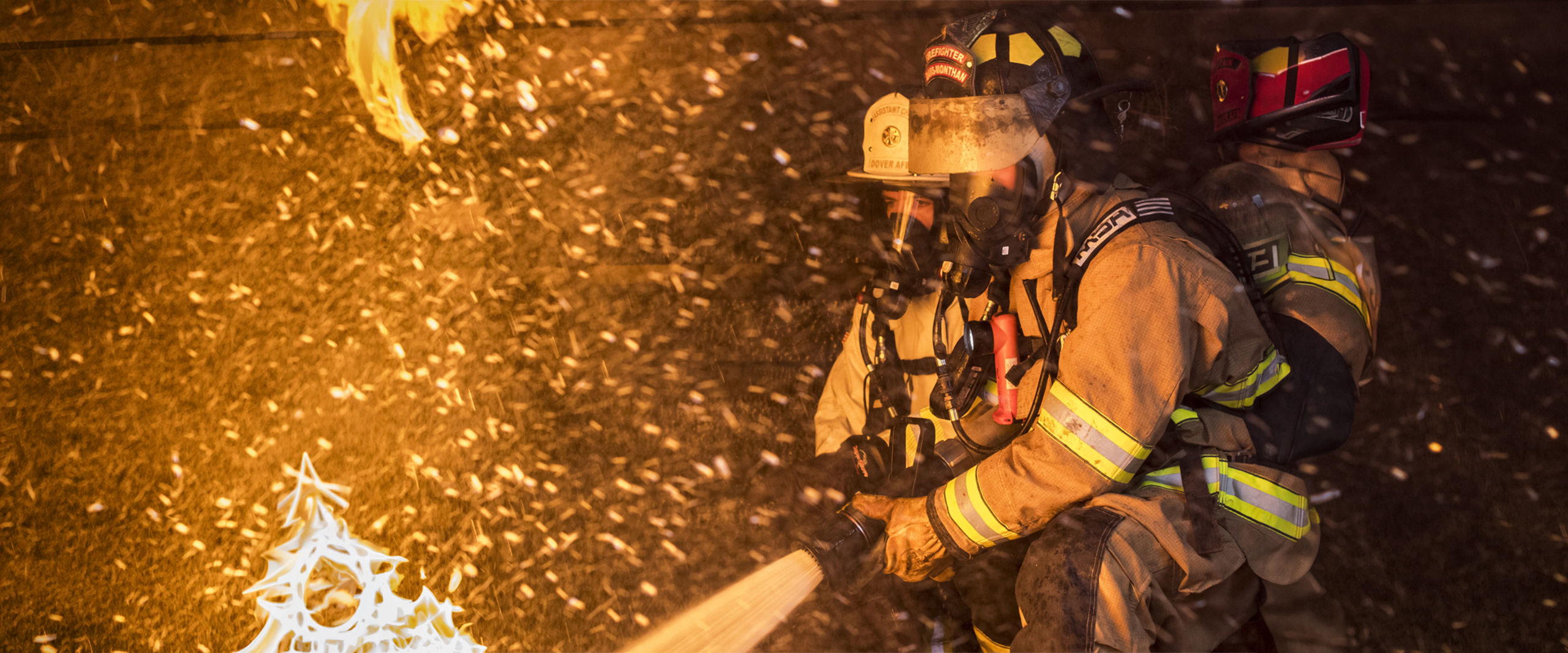 Fuoco Rilevatore (1)