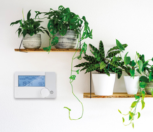 Freetime Evo Gallery 05