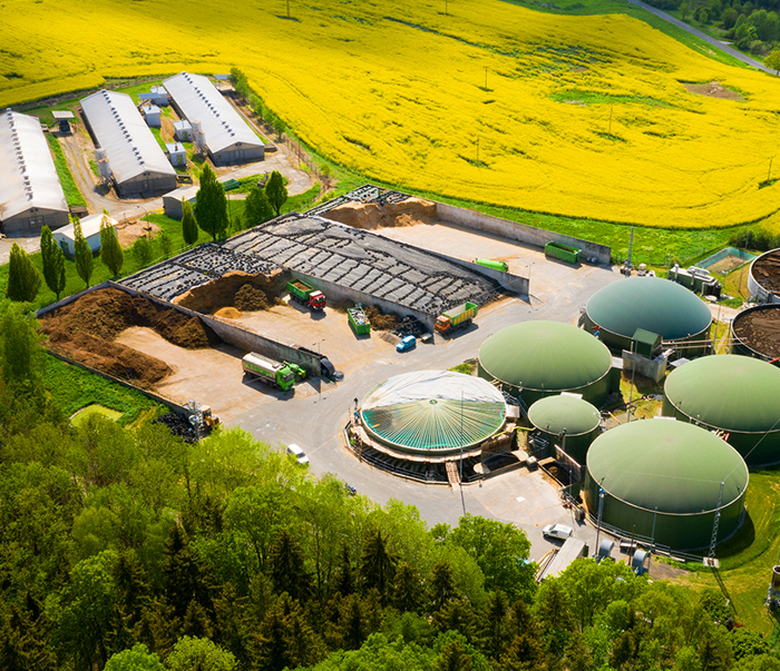 Cool Guardian Gallery 08